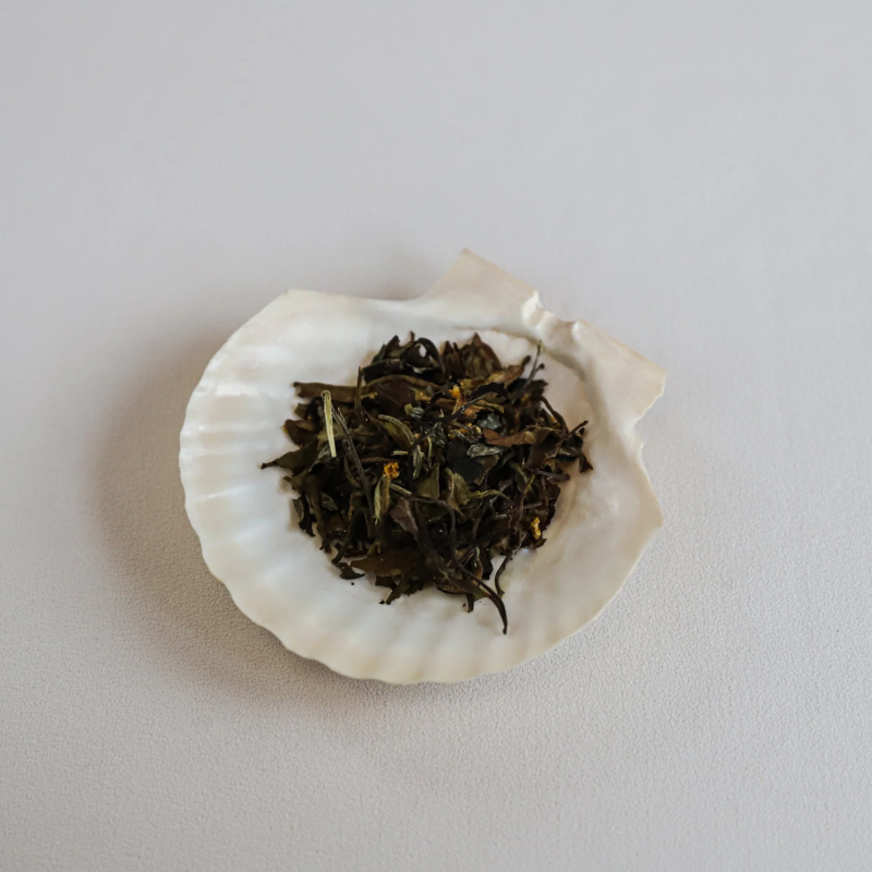 Teministeriet No. 150 White Elderflower Champagne te, vist som løse teblade i en naturlig hvid muslingeskal. Teen består af tørrede grønne og mørkebrune teblade blandet med små, gule blomsterstykker, der afspejler hyldeblomstens tilstedeværelse. Muslingeskallen ligger på en lys overflade, og billedet har en enkel, æstetisk opstilling med blød belysning.