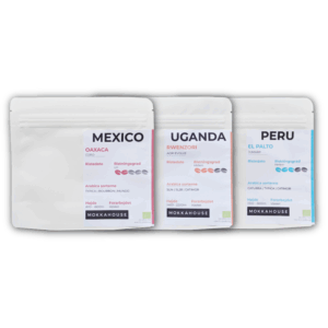 Tre poser økologisk filterkaffe fra Mokkahouse, med oprindelse fra Mexico, Uganda og Peru præsenteret som en smagspakke.