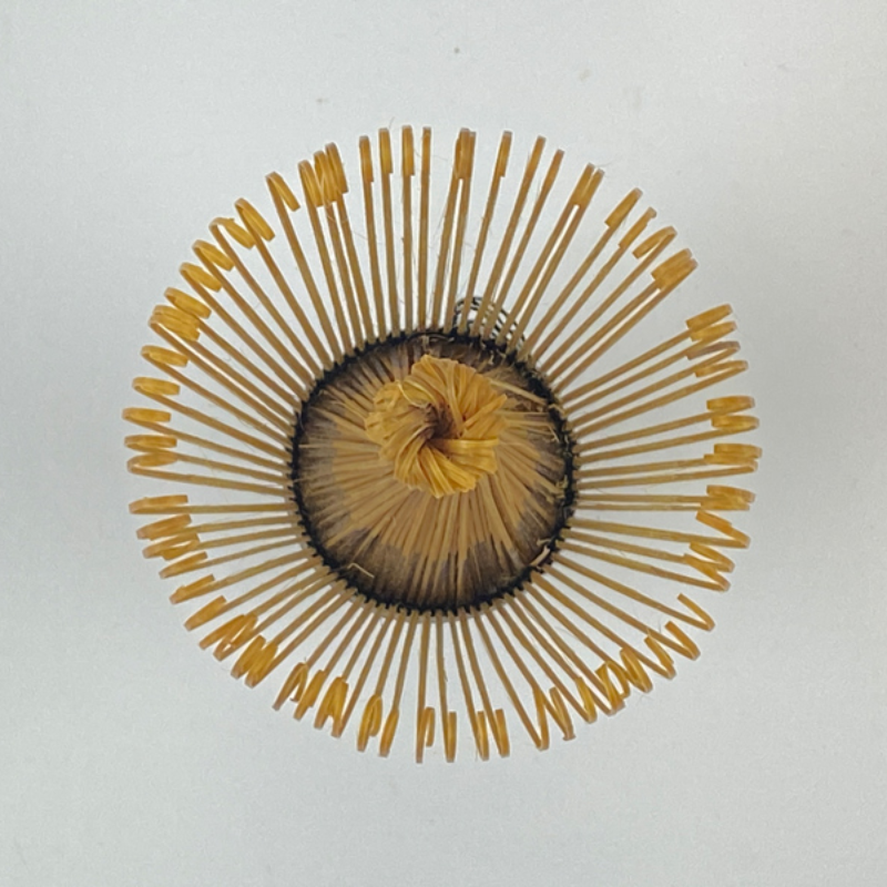 Et matcha piskeris set nedefra